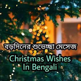 Christmas Wishes Messages In Bengali 2023 (বড়দিনের শুভেচ্ছা এসএমএস)