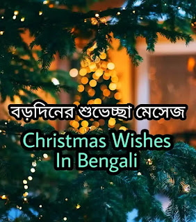 Christmas Wishes Messages In Bengali 2023 (বড়দিনের শুভেচ্ছা এসএমএস)
