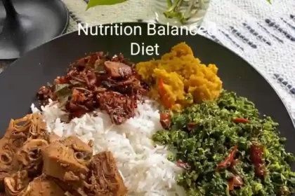Nutrition Balanced Diet: ব্যালেন্স ডায়েট কি? জানুন সুষম খাদ্যতালিকা ও ডায়েট চার্ট
