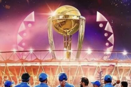 ICC World Cup Final:This star player of India will not play the final match against Australia